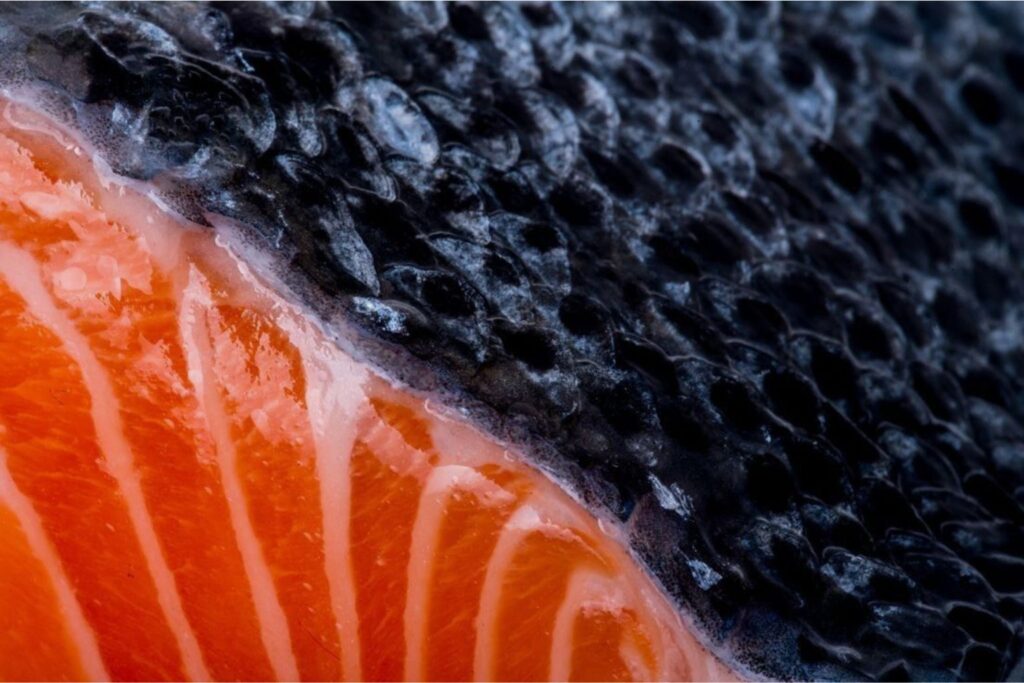 Progetto senza titolo 2026 01 13T153814.806