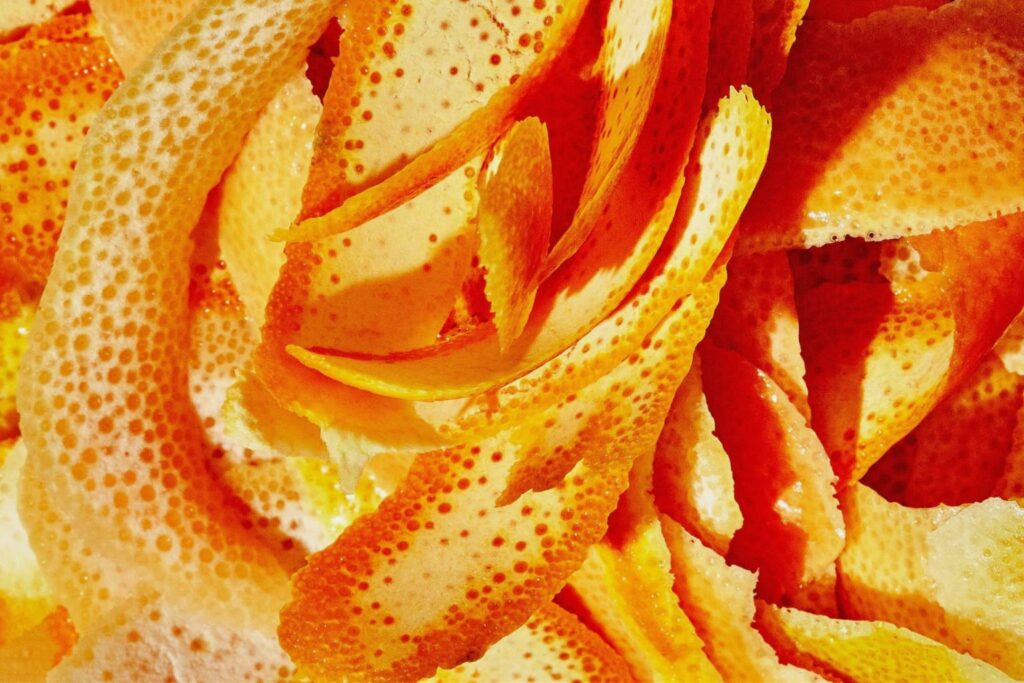 Progetto senza titolo 2026 01 13T154051.949